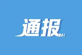 因赌博问题 这名村支书受党内警告处分并免职图片
