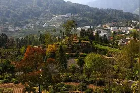 看看越南农村，再看看中国农村，感受到差距没？图片