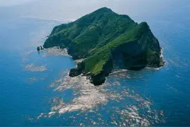 0.73平方公里的小岛，竟盘踞着两万条毒蛇，大连蛇岛不缺奇迹图片