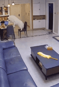 开心一刻｜一个人容易想太多，想太多容易一个人