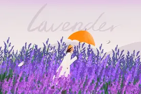 上海薰衣草公园今天开园，薰衣草比往年更紫！快来相约“魔都普罗旺斯”图片