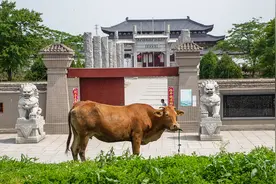 海内外黄姓后裔捐资修故城，一片痴情恋故土，忠孝善行传家风图片
