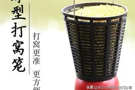 诱鱼效果不好是打窝器的错？合理选择才能诱鱼更好图片