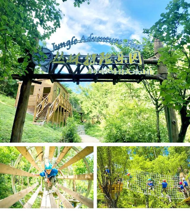 十年:“重识”哈施塔特小镇