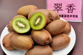 猕猴桃的神奇图片
