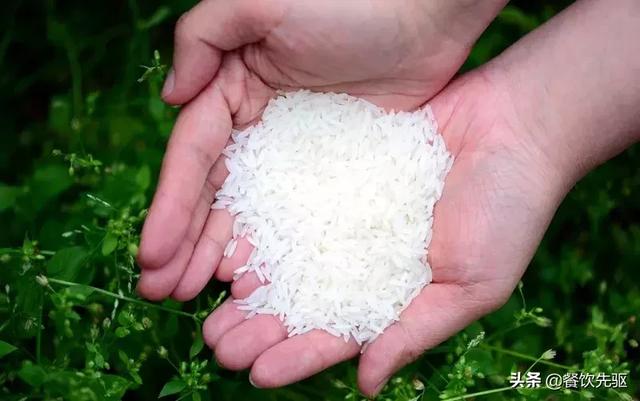 中国顶级大米排行榜！快看看有没有你家乡的