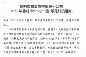 嵩明10个村（社区）榜上有名！来看看有没有你们村？图片