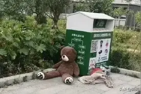 一只被遗弃的小熊上了热搜…图片