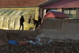 靠这一个简陋小棚，农民每年冬季省3分之1煤钱，制作很简单图片