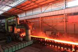 政府、法院联动！看沙湾这个产业龙头如何“蝶变重生”图片