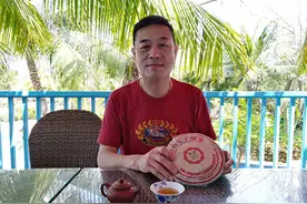 普洱茶收藏名家林卫东走进海南博鳌交流老普洱茶文化图片