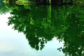 成都东湖公园图片