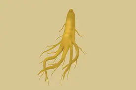 西洋参和人参，有什么不同？补气选哪个？吃对是宝，吃错是“毒”图片