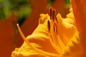 心理学:五个关于愤怒的认知，让你想得通、心情好图片