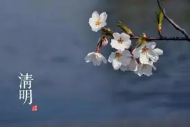 农村俗语：“清明上坟带七祭，缺少一祭散财气”，啥意思？图片