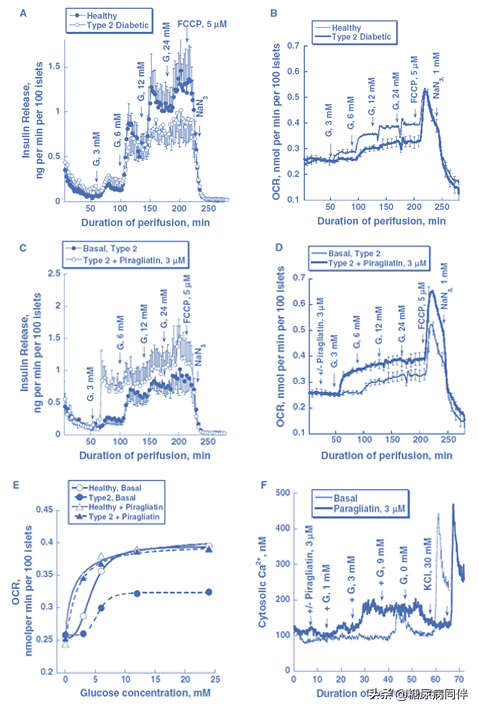 破解2型糖尿病治疗困境的新途径——葡萄糖激酶激活剂（GKA）