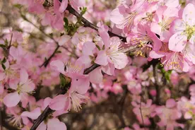 自己必须要有“独立思考”的能力，拒绝盲从。图片