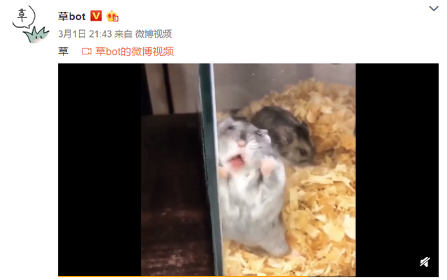 网上冲浪必备的"bot"，到底是个啥？