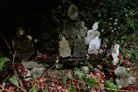 湖南道县有一处深山禁地，万座鬼崽石俑遍布山林，传说是阴兵化成图片