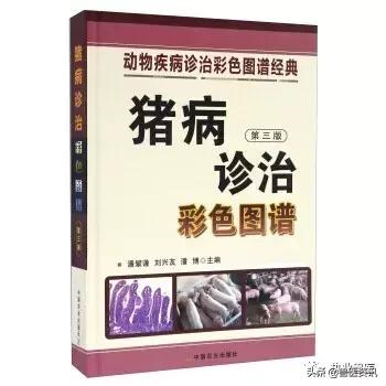 畜牧兽医工作者、猪场人员用书推荐（养猪篇），绝对有你需要的