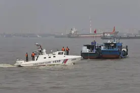 中国特有的白暨豚，为什么没有灭绝？长江十年禁渔能否保住它们？图片