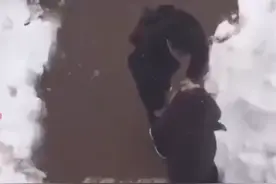 吉林一对情侣发生争吵，男子下跪磕头挽留，女子怒吼：我要你去死图片