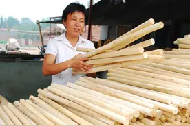 全球木材价格上涨，种粮不如种树，农民为何不种树了？图片