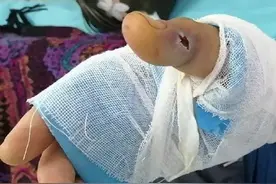 泡在酒里一年的毒蛇“复活”，村民开瓶被咬身亡！为何蛇还没死？图片