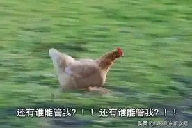 日本留学升学｜日本人眼中的“野鸡大学”，真的好严格图片