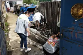 倒塌的“板杖子”修好了！抚松镇创新志愿服务模式暖人心图片