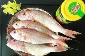 黄豆酱焖红衫鱼，配料简单，鲜香美味，好吃不腻，超美味的下饭菜图片