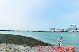 厦门《一双儿女被潮水卷走 仨好心人飞快施救》后续：送上万分敬意 致敬平凡英雄（一）图片