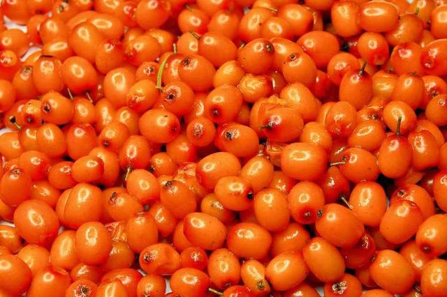 每100克沙棘，维生素C含量高达1100毫克！维生素C你了解多少？