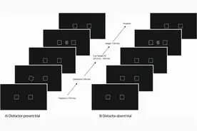 看到他人抖腿会心烦？你并不孤单图片