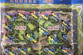 融创维多利亚湾被指虚假宣传！看人家融创怎么说的：是前任万达干的图片