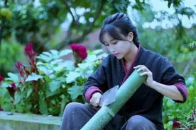 深扒！李子柒身上的诸多“未解之谜”图片