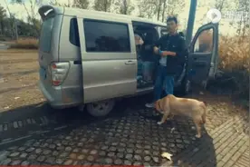 又到了说再见的时候图片