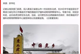 “完达山一号”前途未卜！其所在饲养繁殖中心曾被曝售卖虎骨酒图片