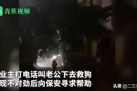 浙江嘉兴一男子为救自家宠物狗被困污水井身亡图片