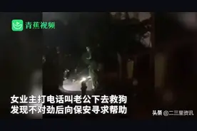 浙江嘉兴一男子为救自家宠物狗被困污水井身亡图片
