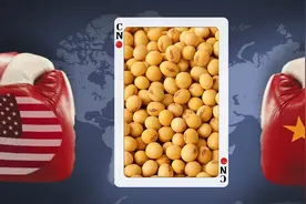 大豆之死1：中美大豆战争，油企几乎全线溃败，如何破局反击？图片