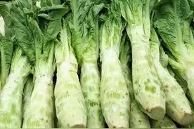 3月遇到这4种菜别手软！清火降脂，随手一炒翠绿诱人，太诱人了图片
