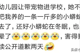 幼儿园要求带宠物，侄女骑着德牧犬就去了，惊艳全场图片
