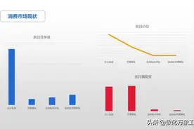 电商平台：女包消费市场整合分析图片