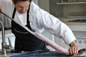 为什么人类只吃鱼翅，却很少听说吃鲨鱼肉呢？真的不好吃吗？图片