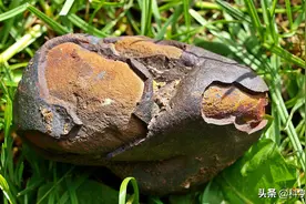 每天掉下5万吨，每克却高达30000元，陨石凭什么这么贵？图片