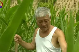 刘国忠父子：两代人矢志跟党走 二十载坚守兴农路图片