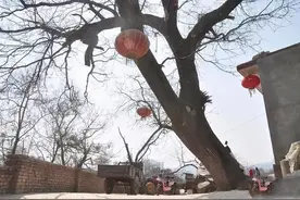 井陉党史上的“四个第一”诞生在这个山环水抱的村庄！图片