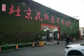 每天，都是最美好的一天图片