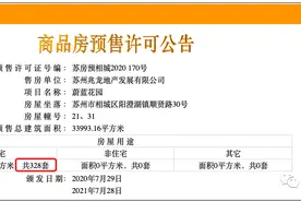 真便宜！总价146万起！556套“1"字头洋房、高层房源马上入市图片